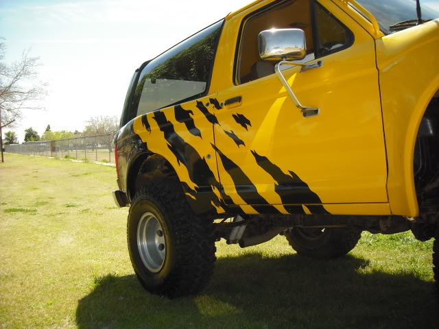 Rear fiberglass fenders