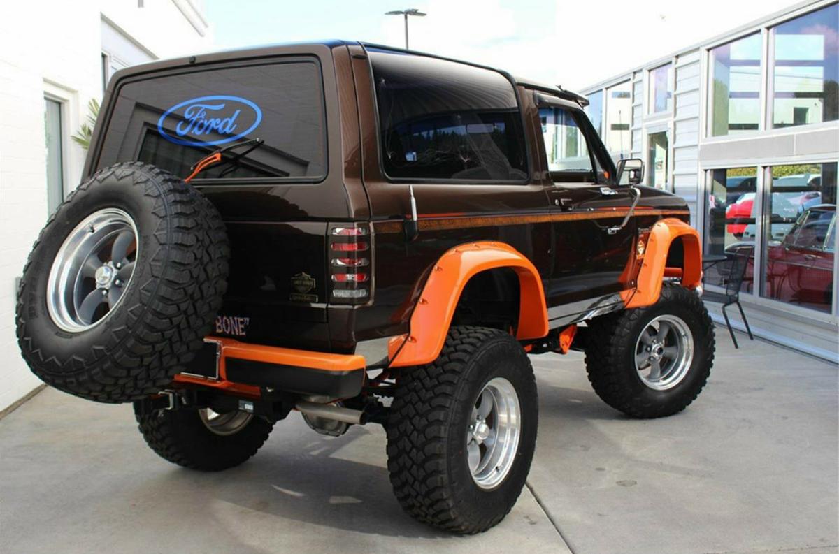 The Big Brown Bronco II rear tire carrier