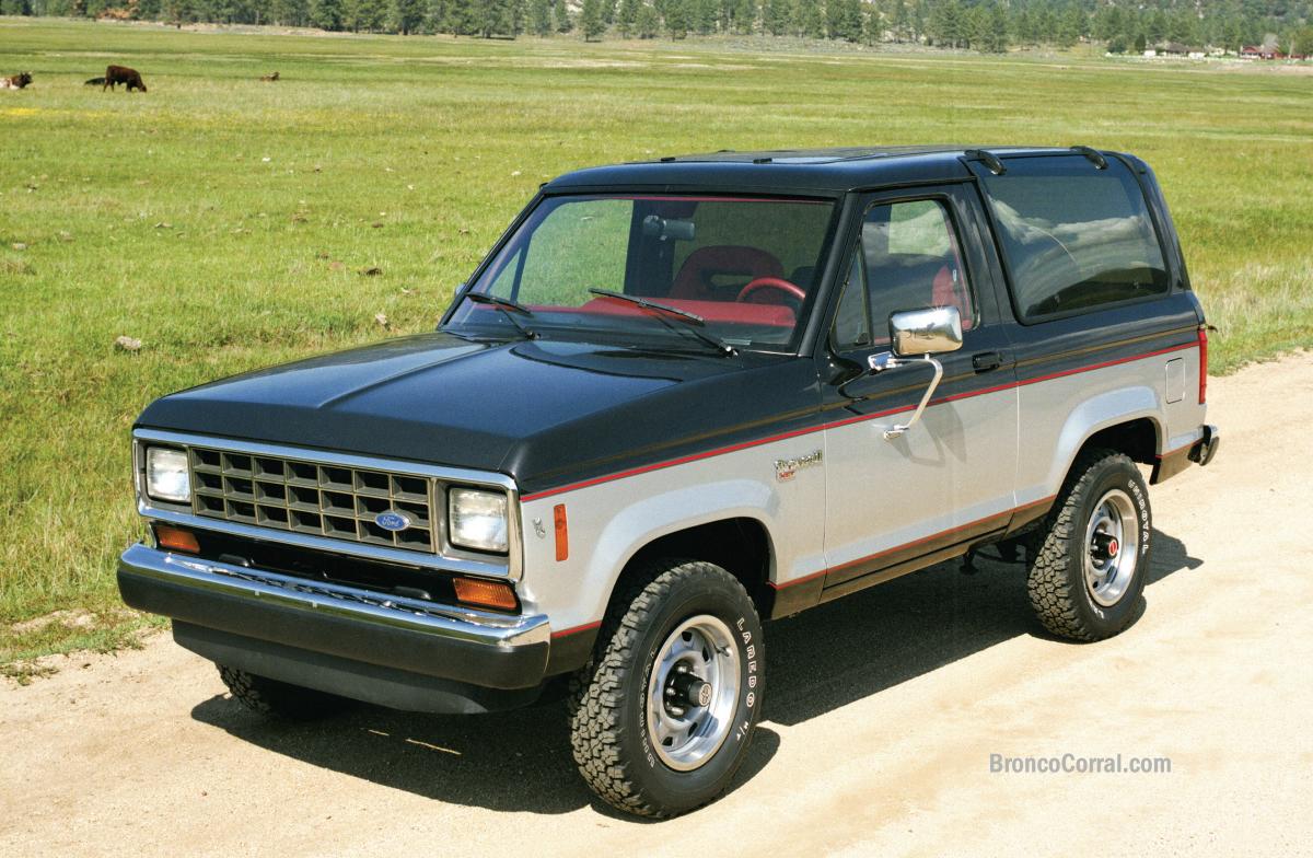 Bronco II removeable side window