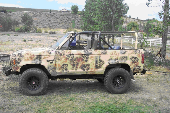 Ford Bronco II Chop Top With A Roll Cage - Drivers Side